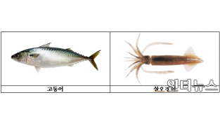 고등어와살오징어포획금지규정.png
