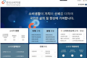 한국소비자원 피해 구제 이용기
