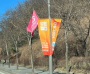 2024 강원 동계청소년올림픽이 곧 열립니다!