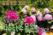 “한국의 수목원 식물원” 어디까지 가봤니?
