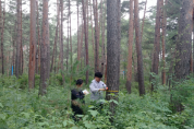 북한의 산림자원 현황파악으로 남북산림협력 준비 박차
