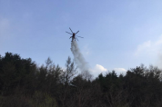 [산림청] 경기도 연천군 DMZ 내 산불, 진화에 총력