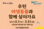 부산야생동물치료센터, 야생동물보호 홍보 기획전 개최