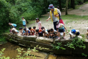동구릉‘왕릉 숲’에 유치원 생태교육 개설