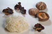 산림청, 목이버섯 재배임가에 FTA 피해보전직불금 지원