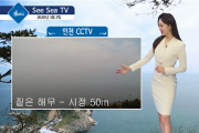 오늘의 바다 날씨, 씨씨티비(See Sea TV)로 확인하세요!